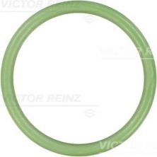 Reinz 71-35248-00 - Tesnenie sacieho potrubia