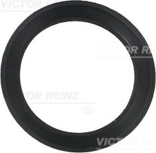 Reinz 71-36061-00 - Tesnenie sacieho potrubia