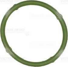 Reinz 71-36066-00 - Tesnenie sacieho potrubia