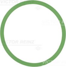Reinz 71-37599-00 - Tesnenie sacieho potrubia