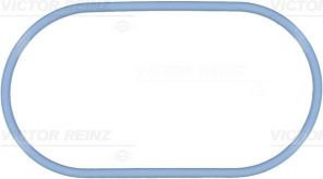 Reinz 71-38102-00 - Tesnenie sacieho potrubia