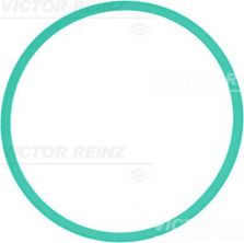 Reinz 71-39302-00 - Tesnenie sacieho potrubia -