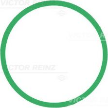 Reinz 71-39303-00 - Tesnenie sacieho potrubia -