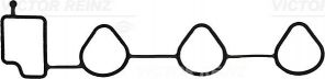 Reinz 71-53136-00 - Tesnenie sacieho potrubia -
