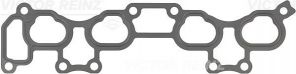 Reinz 71-53383-00 - Tesnenie sacieho potrubia -