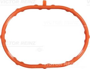 Reinz 71-53796-00 - Tesnenie sacieho potrubia -