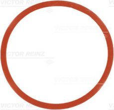 Reinz 71-77546-00 - Tesnenie sacieho potrubia -