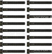 Reinz 14-32020-01 - Sada skrutiek hlavy valcov