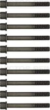 Reinz 14-32159-01 - Sada skrutiek hlavy valcov