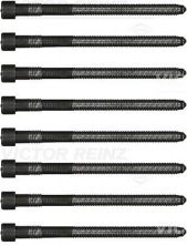 Reinz 14-32166-03 - Sada skrutiek hlavy valcov