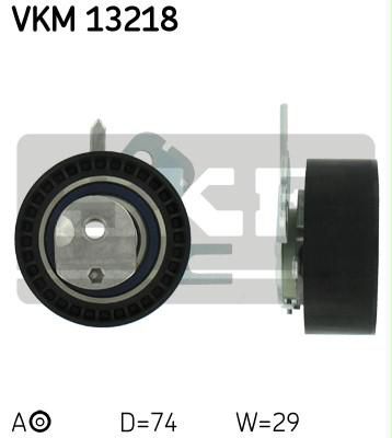 SKF VKM 13218