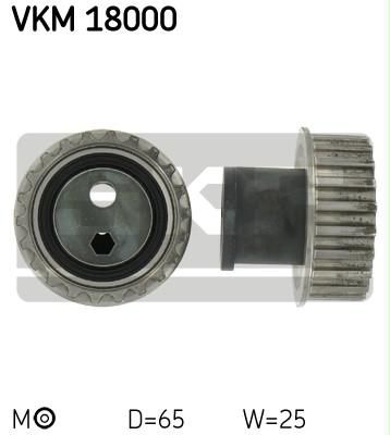 SKF VKM 18000