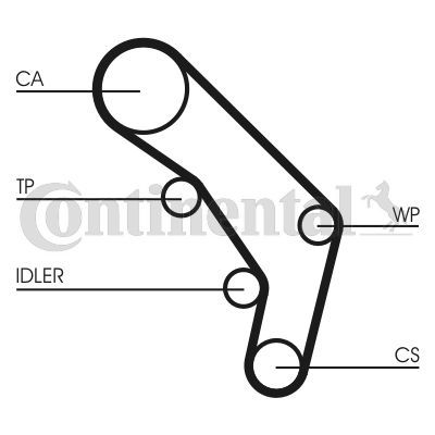 Contitech CT755K1