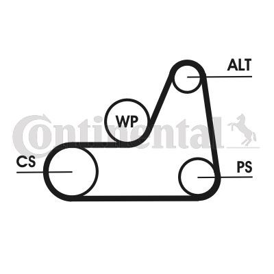 Contitech 6PK1042ELAST