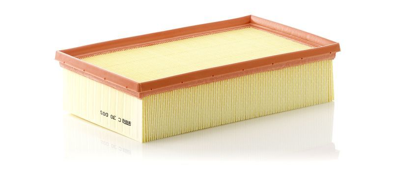 Mann-Filter C 30 005