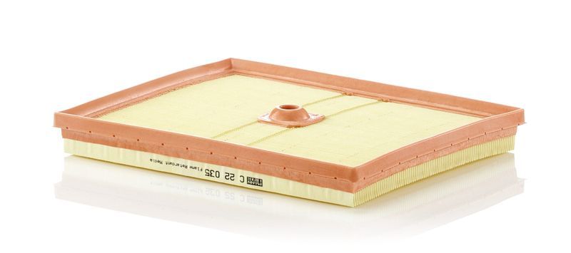 Mann-Filter C 22 035