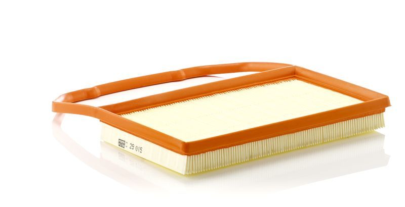 Mann-Filter C 29 015