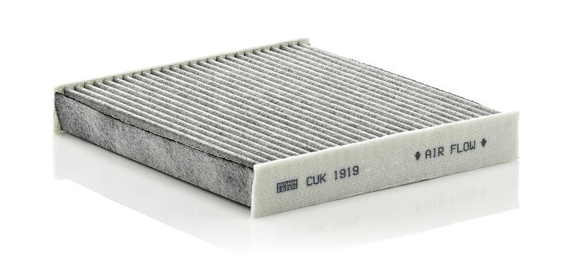 Mann-Filter CUK 1919