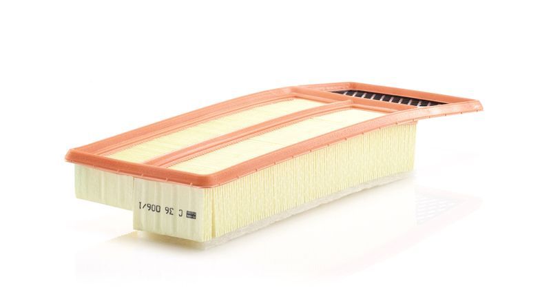 Mann-Filter C 36 006/1
