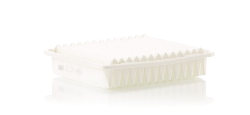 Mann-Filter C 25 654
