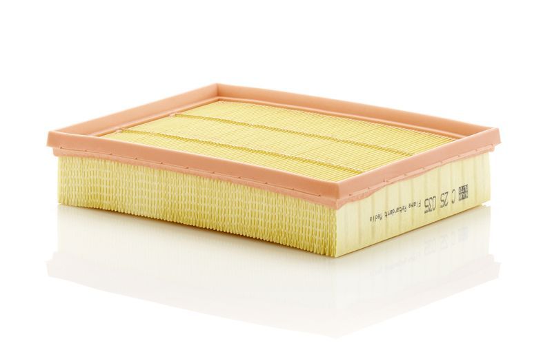 Mann-Filter C 25 035