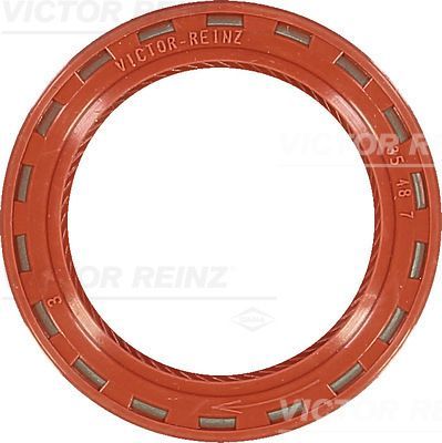 Reinz 81-24909-10