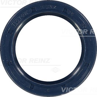 Reinz 81-26244-00