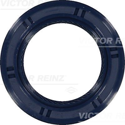 Reinz 81-53491-00