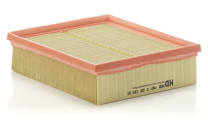 Mann-Filter C 22 120