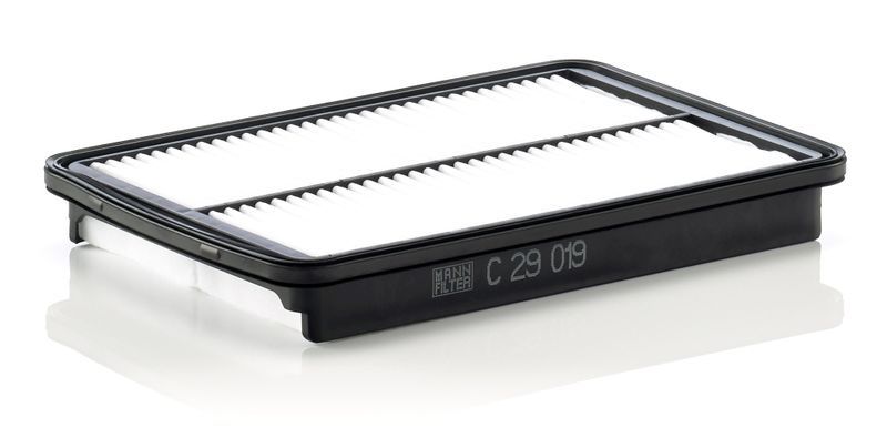 Mann-Filter C 29 019