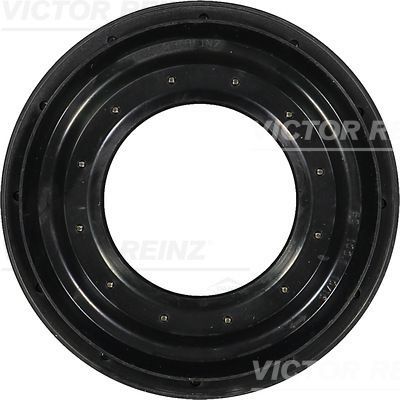 Reinz 81-31377-00 -  -