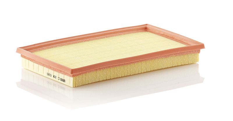 Mann-Filter C 29 020