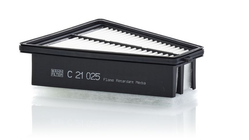 Mann-Filter C 21 025