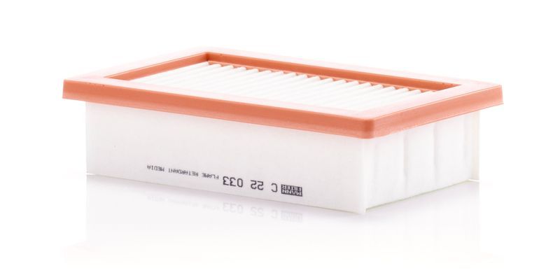 Mann-Filter C 22 033