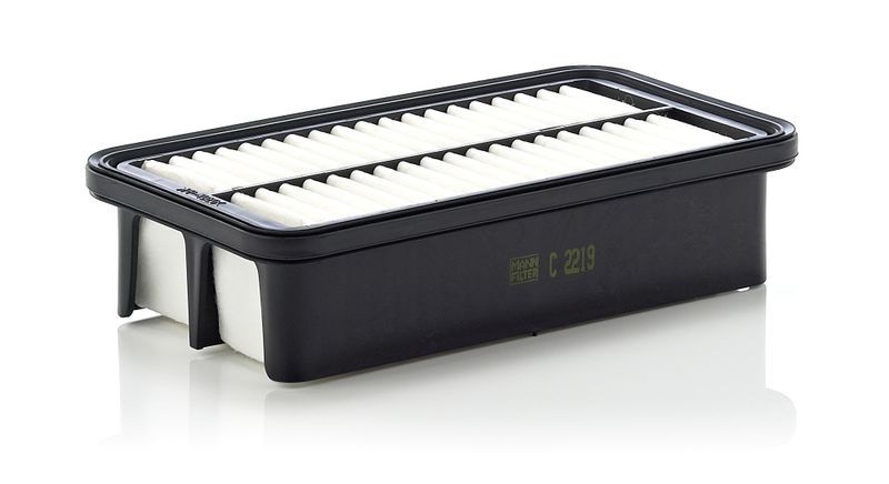 Mann-Filter C 2219