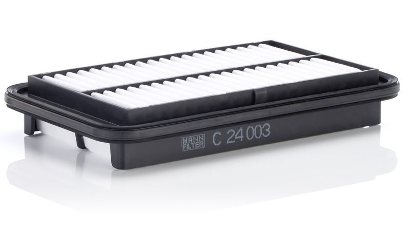 Mann-Filter C 24 003