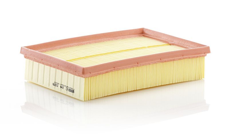 Mann-Filter C 24 028