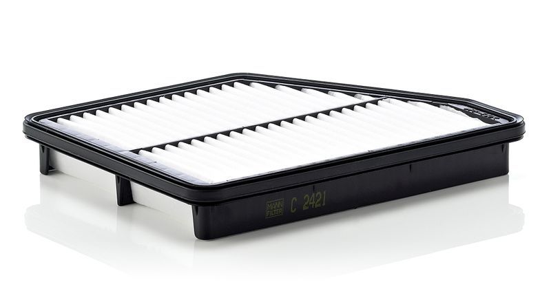 Mann-Filter C 2421