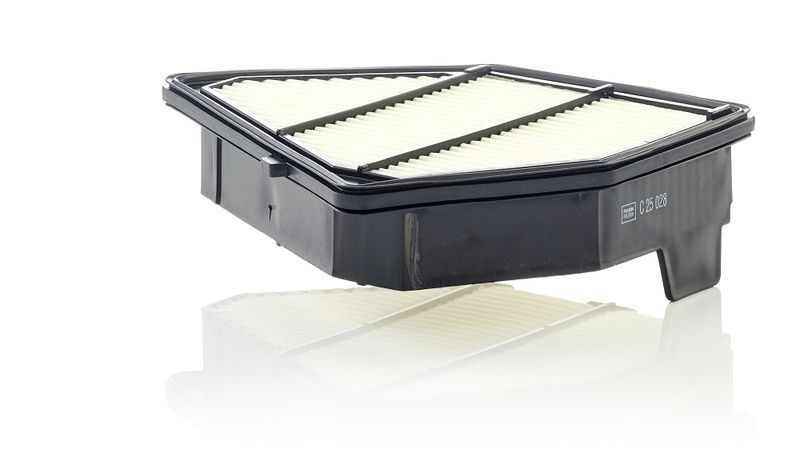 Mann-Filter C 25 028