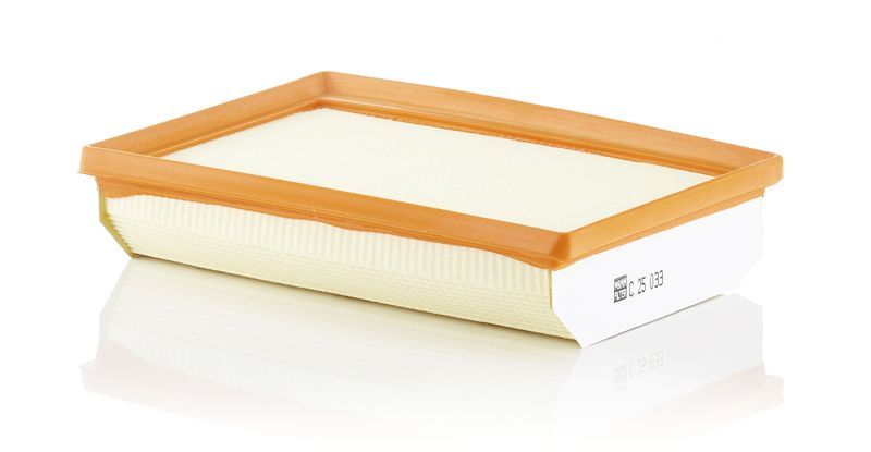 Mann-Filter C 25 033