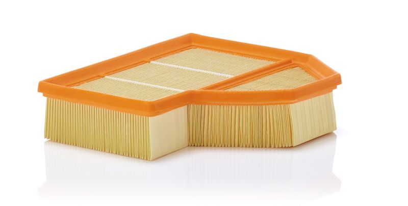 Mann-Filter C 25 112