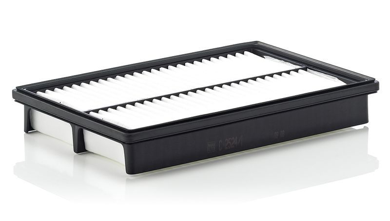 Mann-Filter C 2524/1