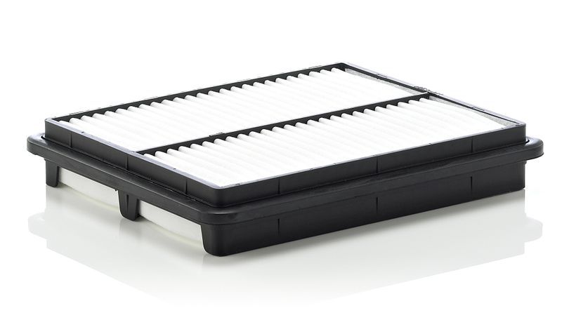 Mann-Filter C 2537/1