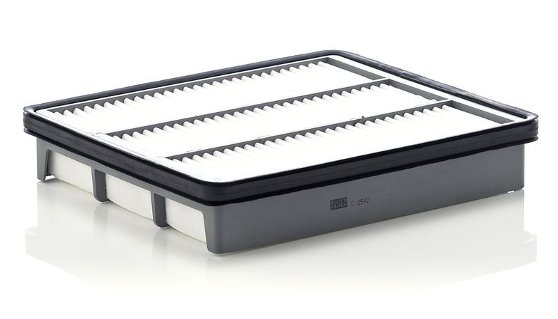 Mann-Filter C 2542