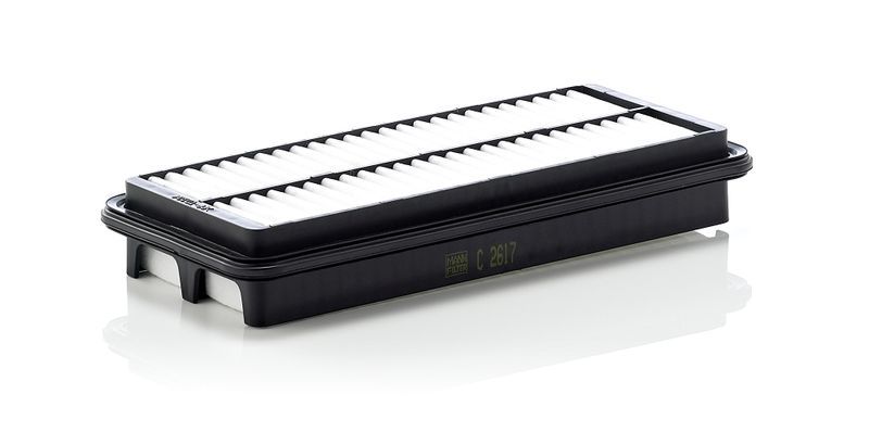Mann-Filter C 2617