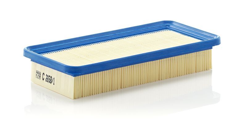 Mann-Filter C 2658/1