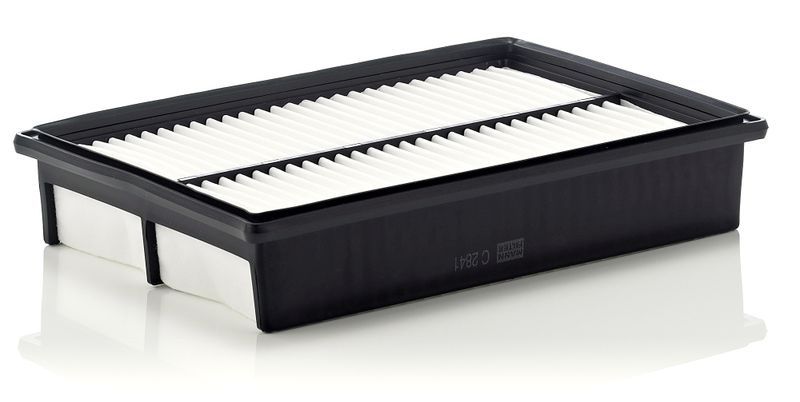 Mann-Filter C 2841