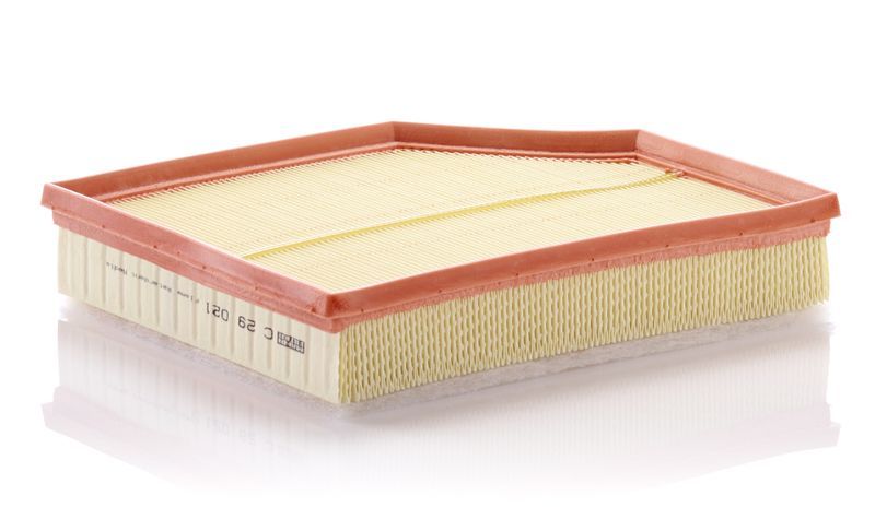 Mann-Filter C 29 021