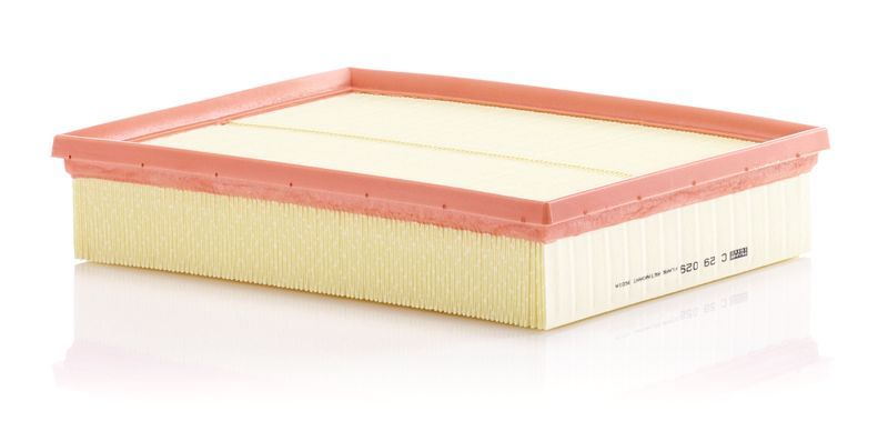 Mann-Filter C 29 029