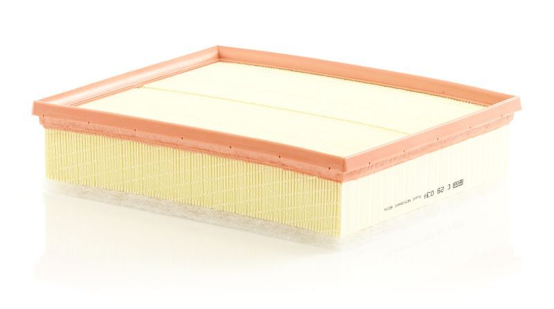 Mann-Filter C 29 034